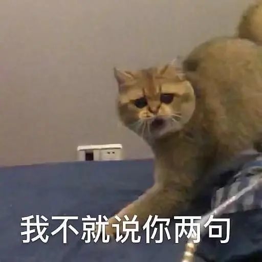 人均狗粉丝