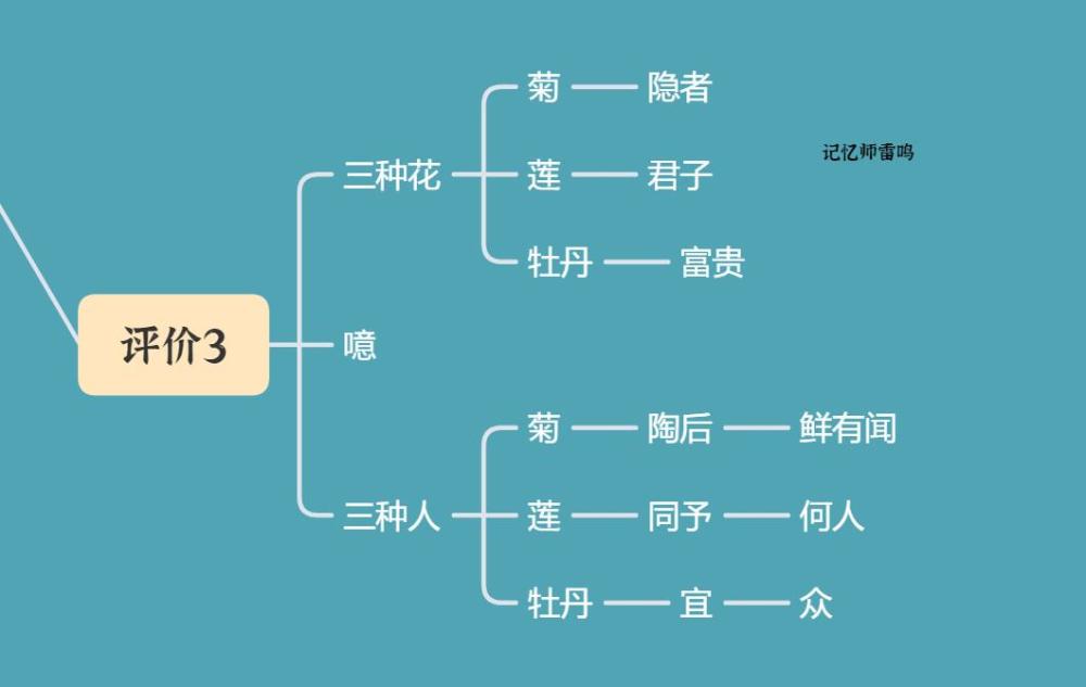 初一学生爱莲说记不牢画画思维导图手脑结合记得更清楚