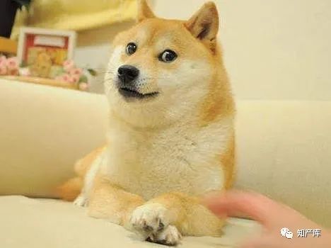 据悉,狗头表情包来源于2010年日本走红的一只柴犬,这只柴犬当时被大家