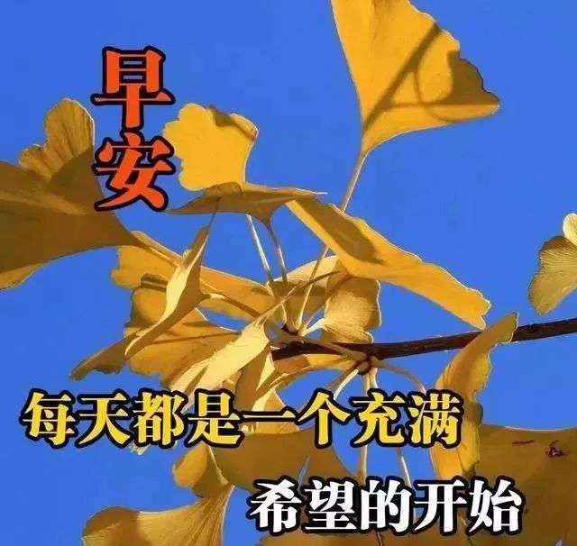 2021新版图片早上好,早上好清新风景图片 清晨祝福朋友的暖心祝福动态表情图片,2021最新早上好
