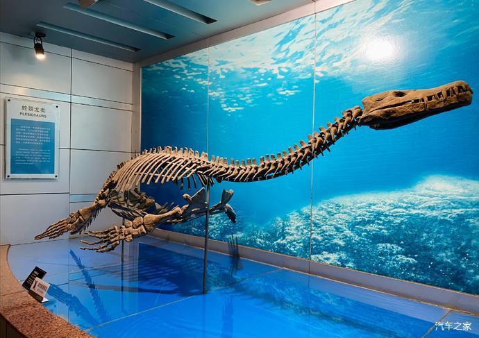 吉利博越pro#自贡——恐龙博物馆