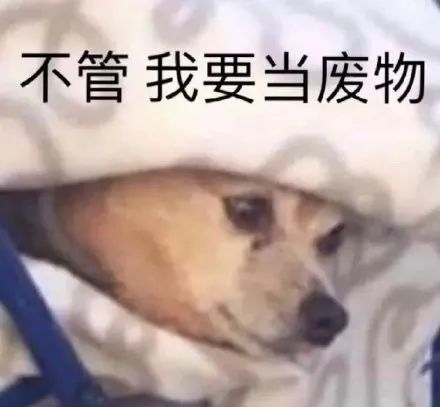 表情包 我见钱眼开