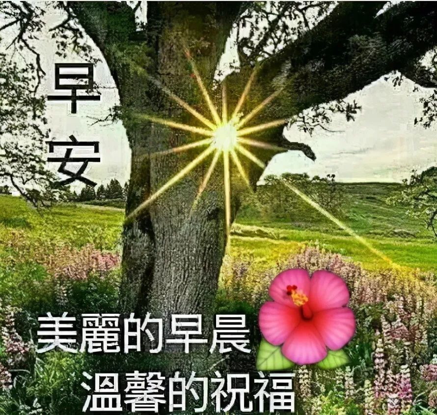 清晨问候,美丽的清晨祝福语动态图片 小清新的早上好问候表情动画