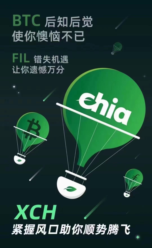 chia(奇亚)最接近传统金融工具的数字资产