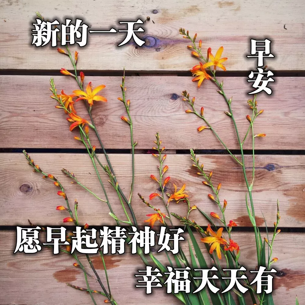 初夏炎热天气早上好问候语和关心句子 2021早上好图片