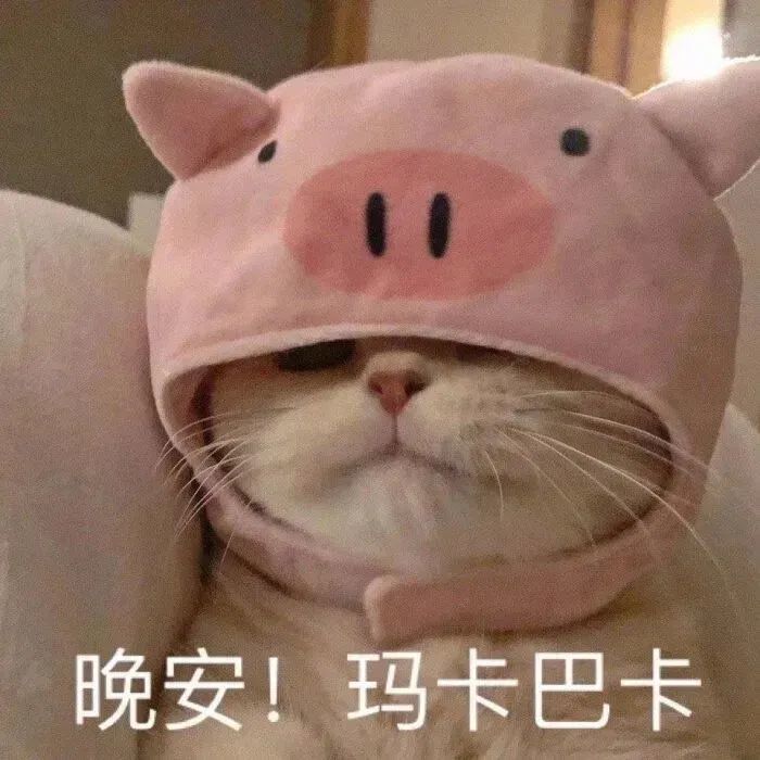 表情包|果然不是什么正经人