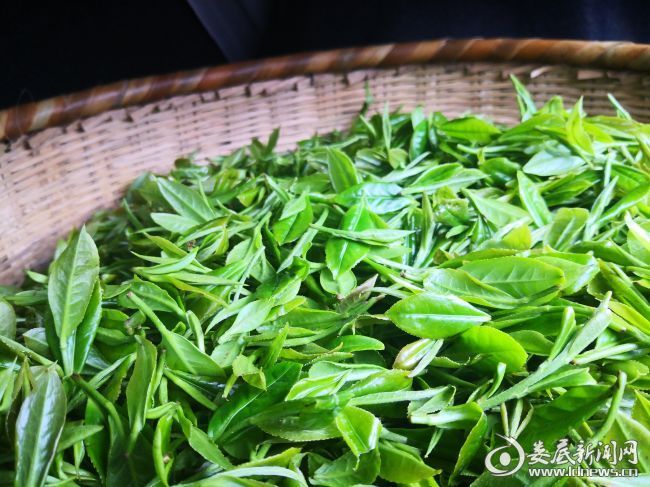 人也留地也留曲谱教唱