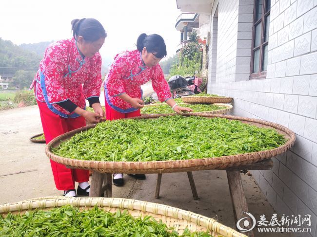 人也留地也留曲谱教唱