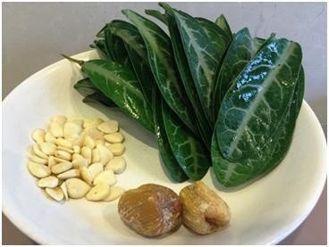 芳草百味|春末夏初,可煲汤具有清热解毒功效的食——龙脷叶