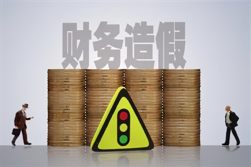 教你如何识别上市公司的财务造假