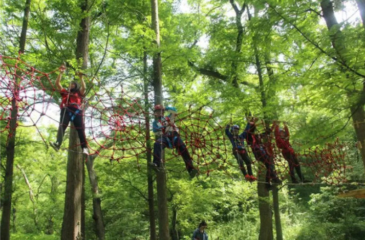 游乐竞技场,高山滑索,丛林穿越,真人cs,射箭场等一批特色森林旅游项目