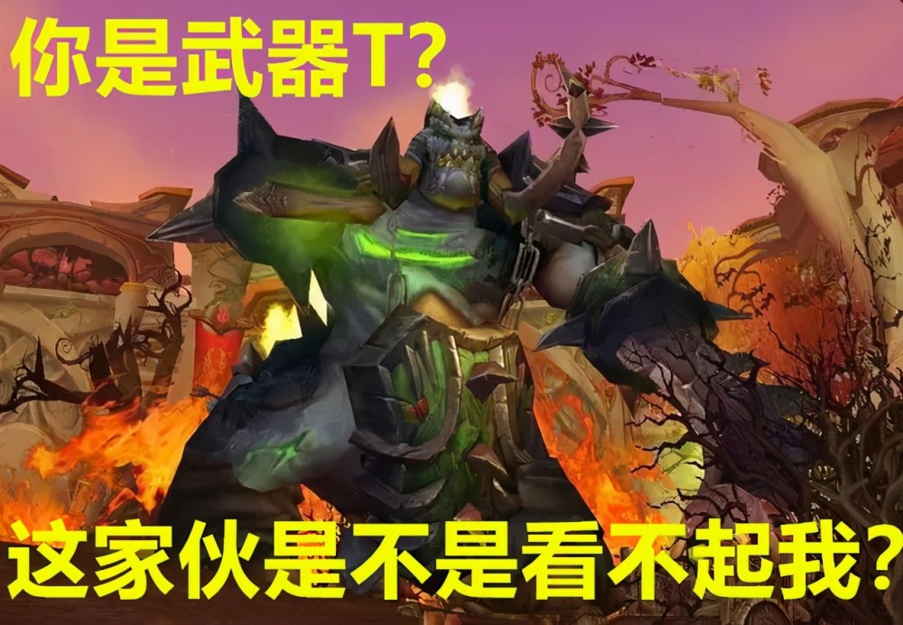 tbc怀旧服熊t比战士t简单仇恨也更高人肯定不会少吧