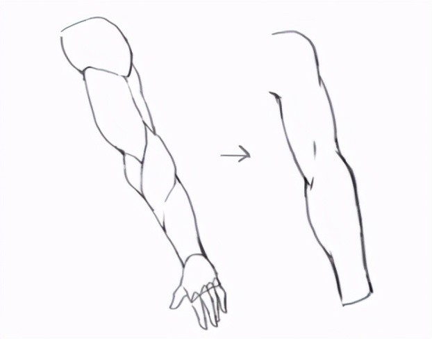 如何画出人物手臂?漫画人物手臂画法