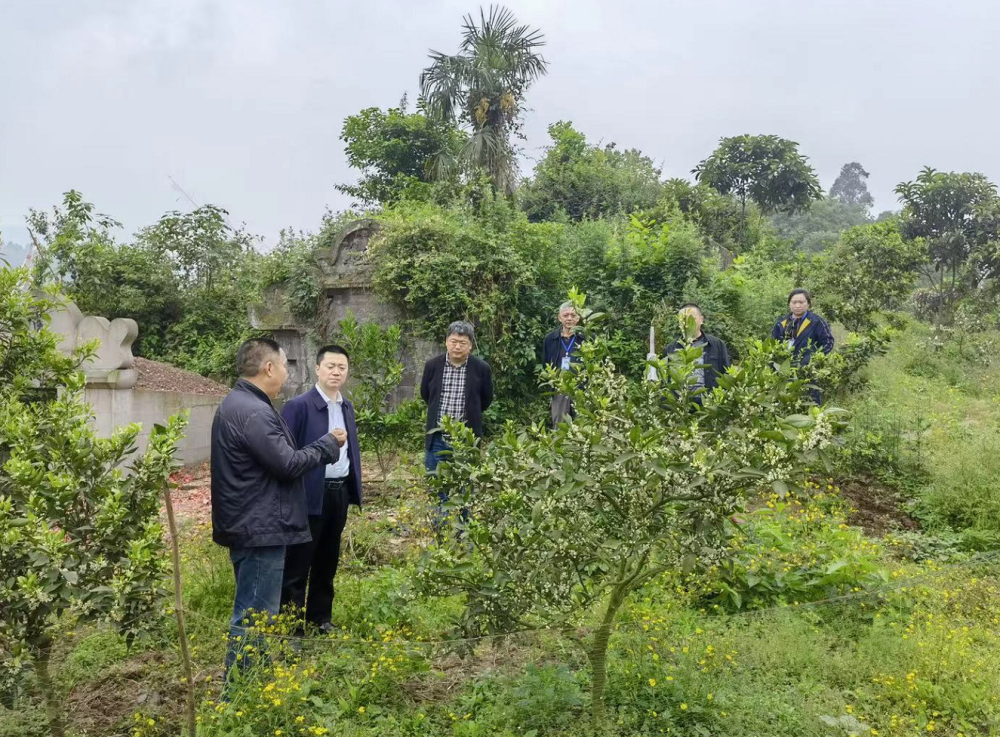 巴南区麻柳嘴镇学史力行,用"心"入"微"解决群众所需