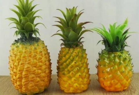 菠萝和凤梨上市的季节,它们的区别你能分清吗?