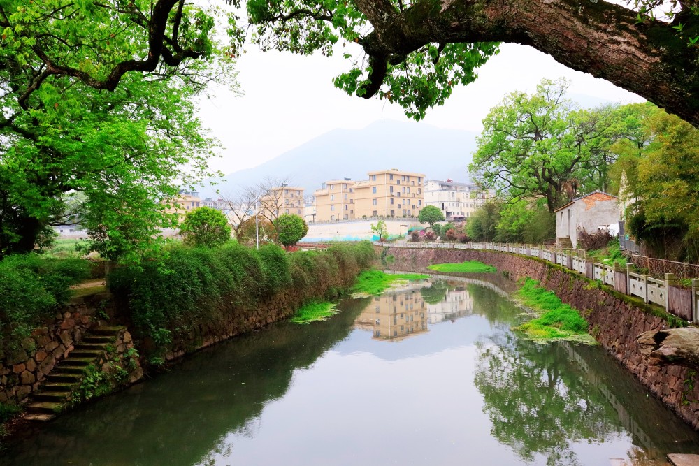 宁波横溪镇金峨村,同样可以登山看杜鹃花,村头千年古刹风景秀丽