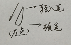 左点:略微偏向左边,由细到粗.