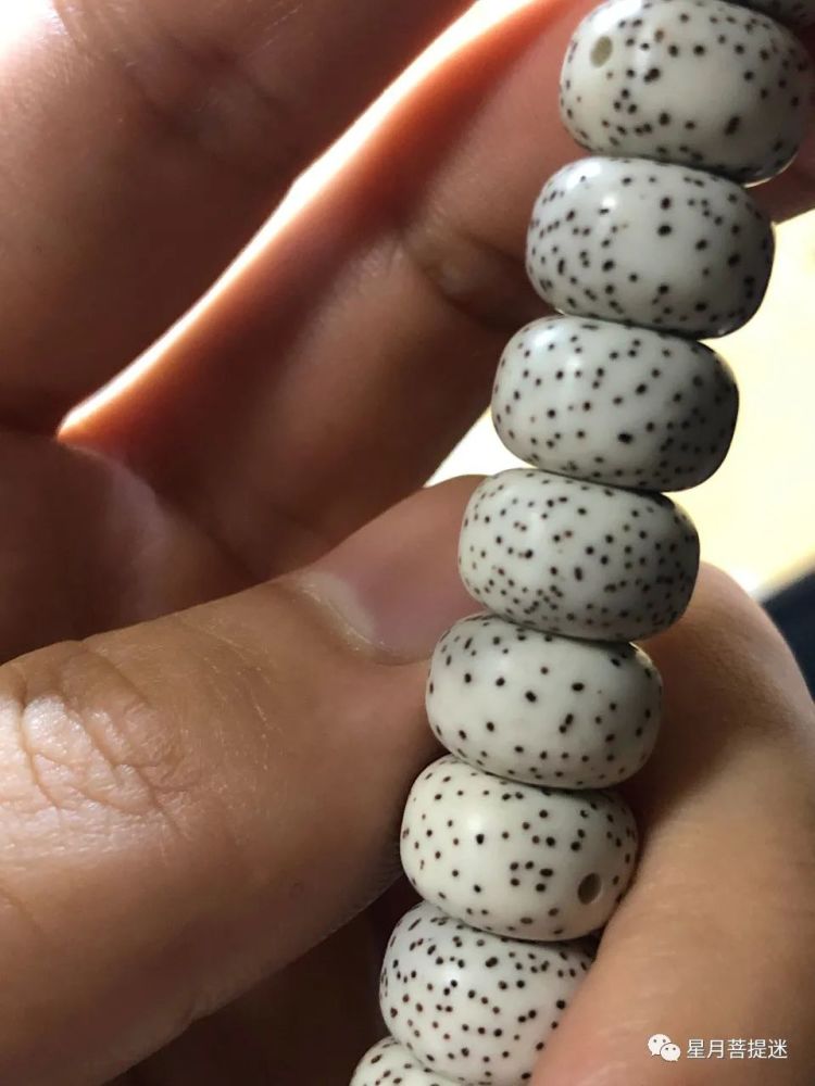极品月朗星稀的顺白星月菩提开片之美