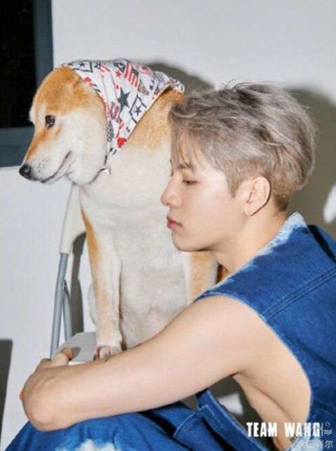 王嘉尔晒与爱犬合照 身穿蓝色真空马甲吸睛