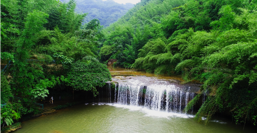 四洞沟的竹子依溪水而排列,一直蔓延两岸山顶,又有四级瀑布点缀,因此