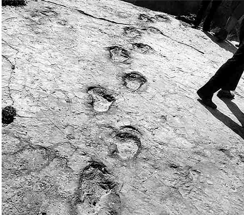 陕西发现巨大脚印,深入绝壁坚硬的岩石,到底是什么生物留下的?