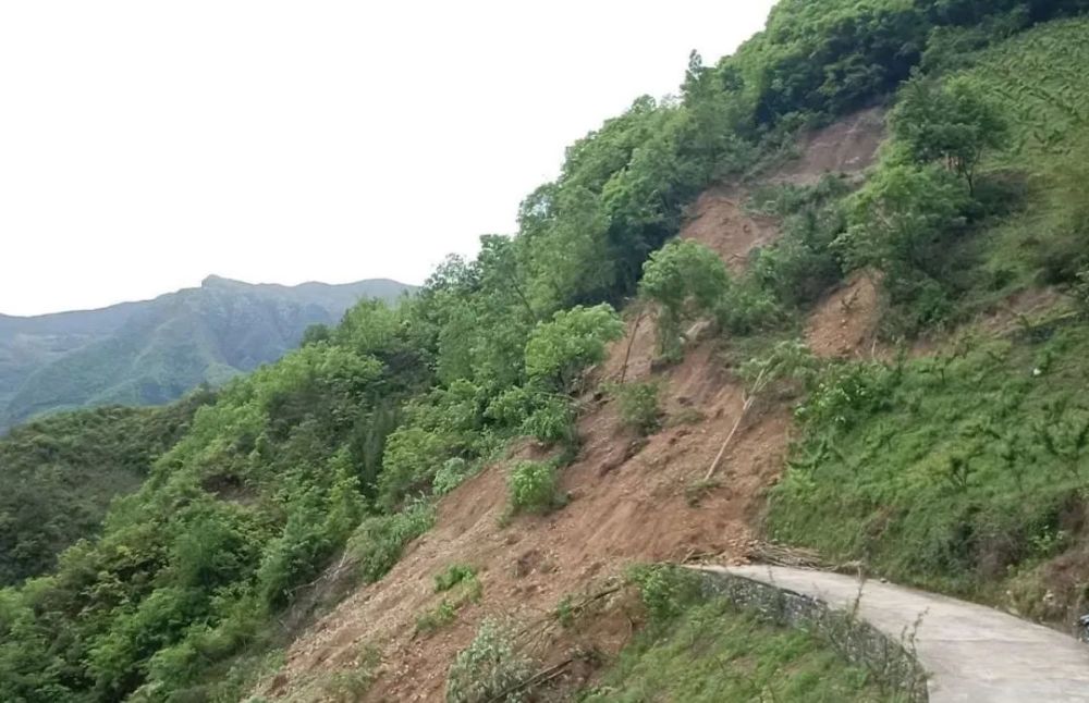 乌龙乡大坡村发生山体滑坡