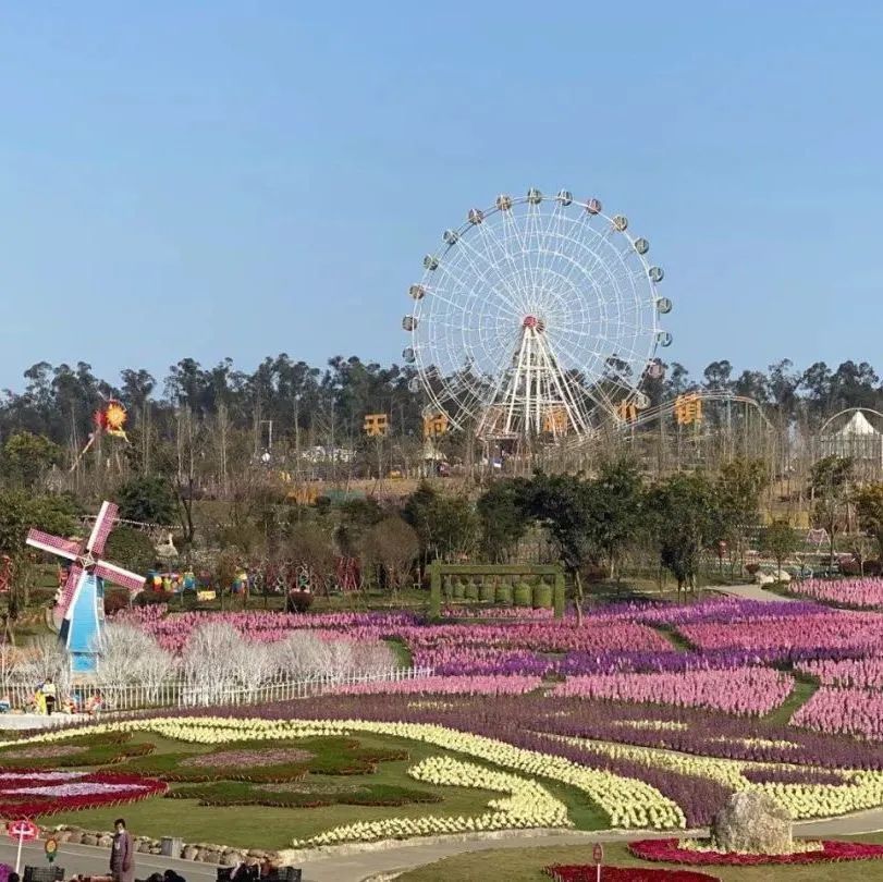 五一《中国好声音》空降新都音乐百花谷要干啥