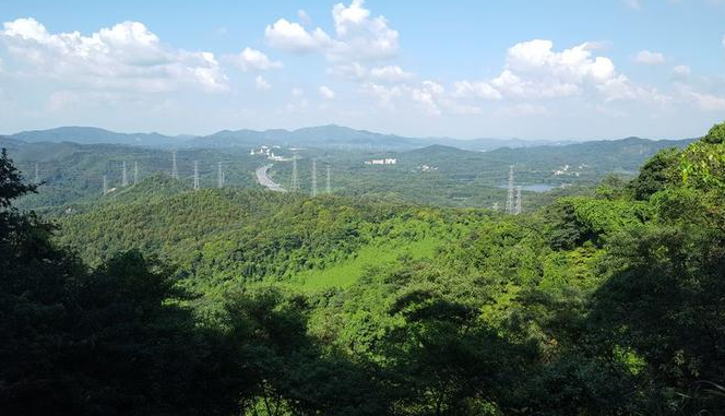 地址:天河区火炉山南路火炉山森林公园 门票:免费