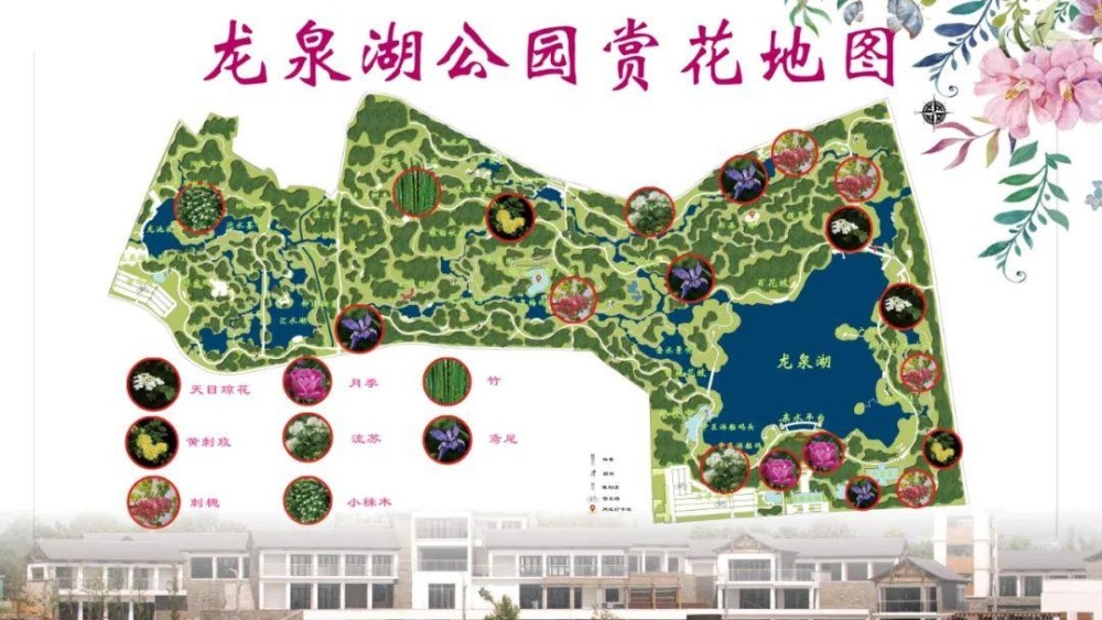 【多彩园林】龙泉湖公园最新赏花地图来啦!