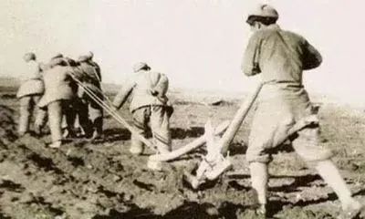 党史100年·天天读(73)|中国精神之北大荒精神