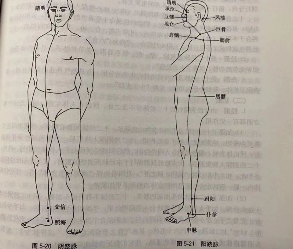 司眼睑开阖:跷脉具有濡养两目,主持眼睑开阖的作用.