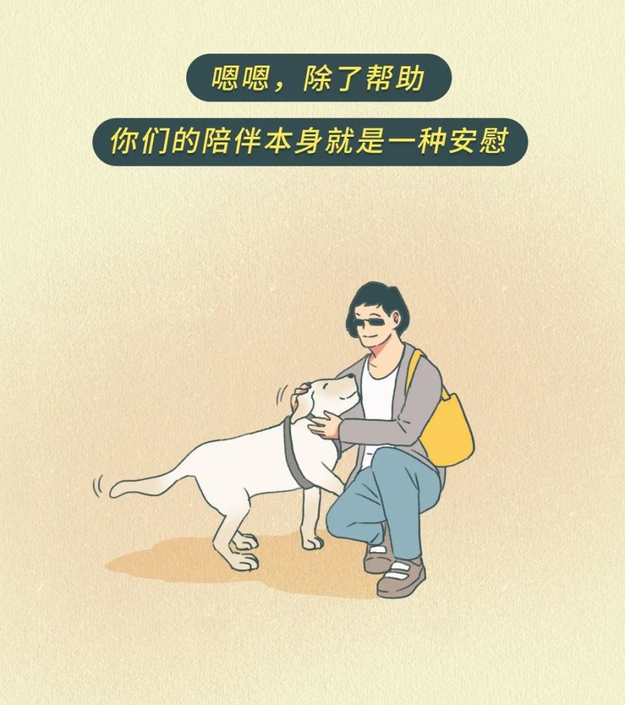 怎么就有人喜欢追着狗咬?