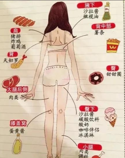 【食物对应身体肥胖部位图(并不是)】|肥胖|减肥