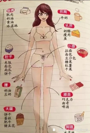 这些重点部位主要包括腰腹,臀部等.它们是人体储存脂肪的部位.