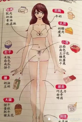 【食物对应身体肥胖部位图(并不是)】