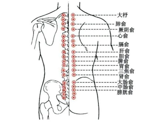 方穴主治 :可用于强身健体,防治亚健康,体质衰弱.