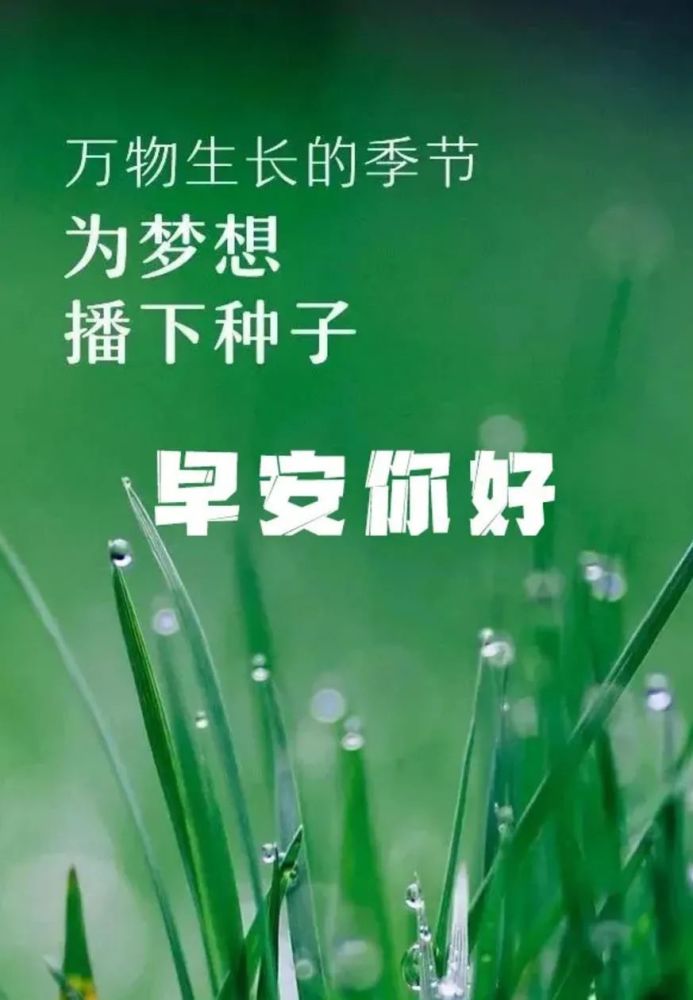 早上好的问候美句:早上好励志带字美句美图