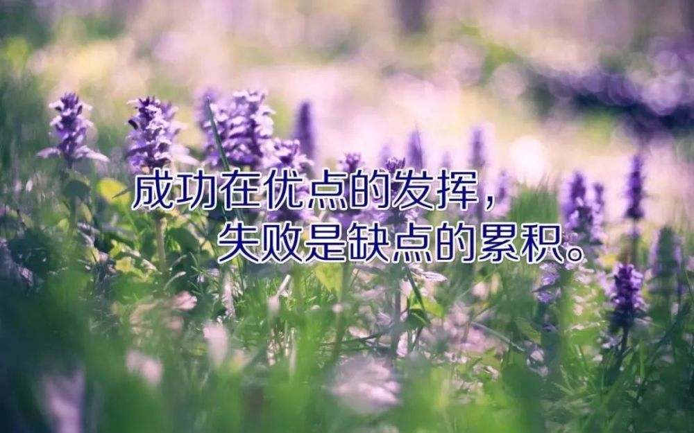 正能量早安励志句子