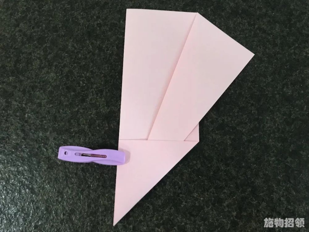 【施物招领】会扑翼的蝴蝶纸飞机