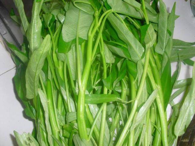 空心菜里面含有重金属?还要不要吃?看完这篇你就全知道了