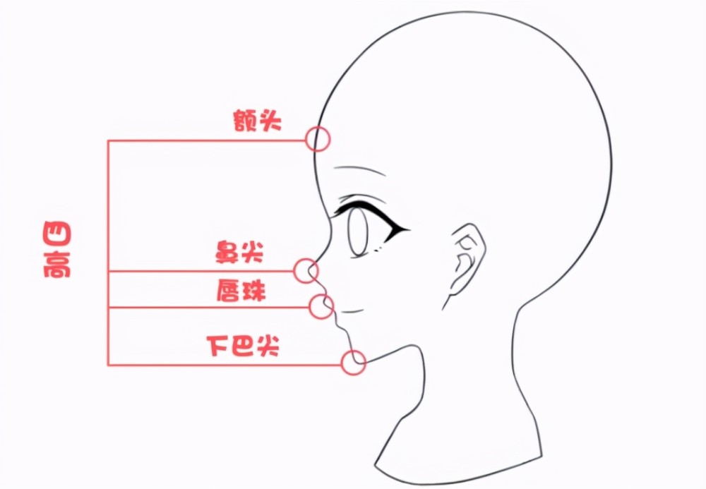 漫画人物的脸怎么画的?快速画出人物脸部