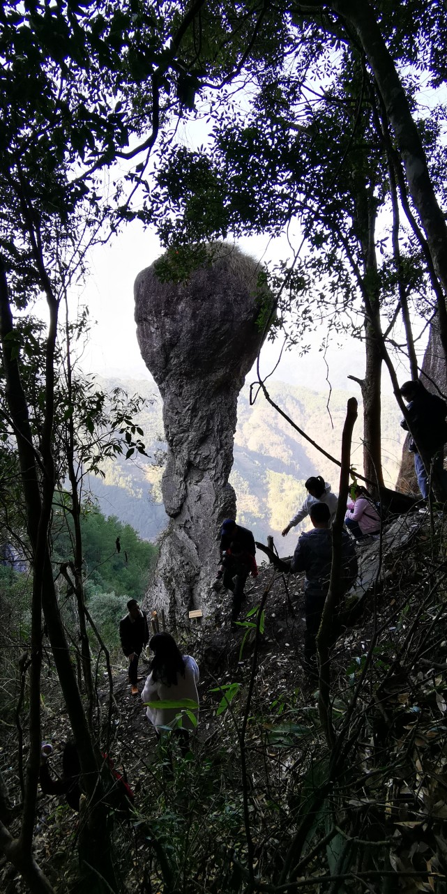 福建屏南发现巨大蘑菇石,吸引很多驴友爬山来看,到底