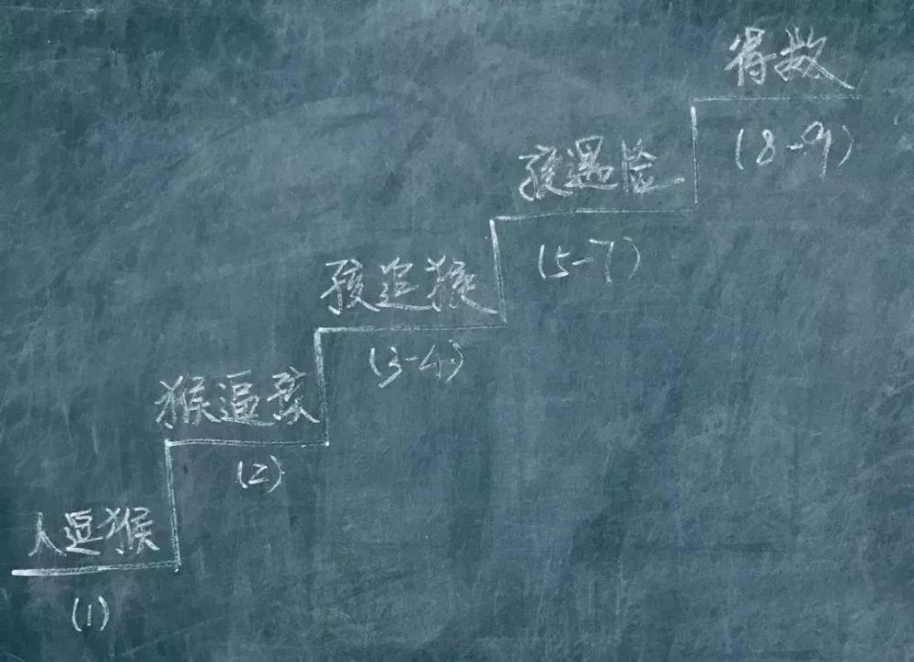 思鸿教育教资面试板书想临场发挥?还想不想考过了?