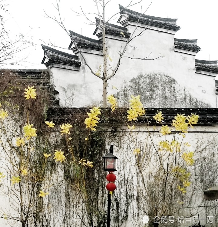 浙江慈溪鸣鹤古镇,欢迎您的光临