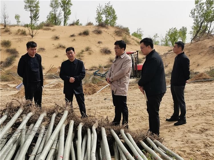 市工信局实地督导企业造林绿化工作