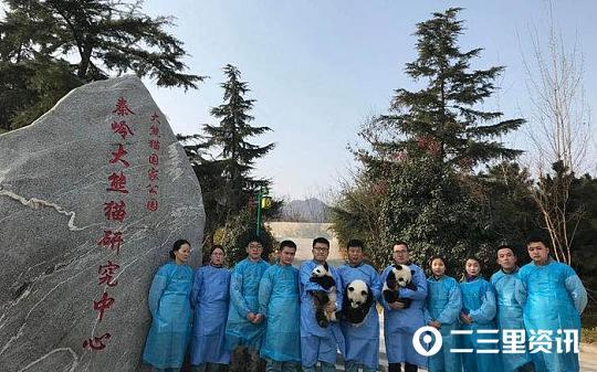 秦岭大熊猫研究中心(陕西省珍稀野生动物救护基地)大熊猫管理部现有