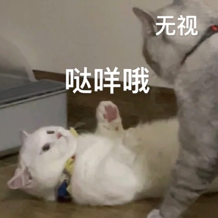 达咩委屈猫猫在线卑微