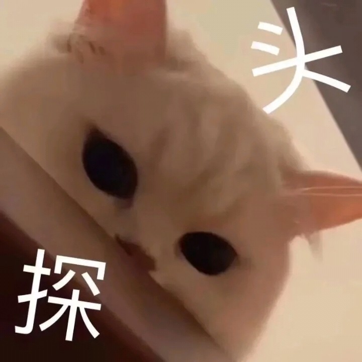 达咩!委屈猫猫在线卑微