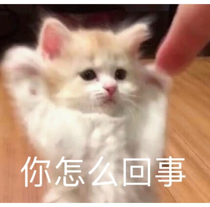 达咩!委屈猫猫在线卑微