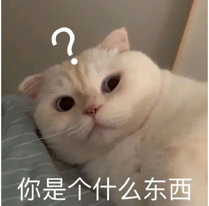 达咩委屈猫猫在线卑微